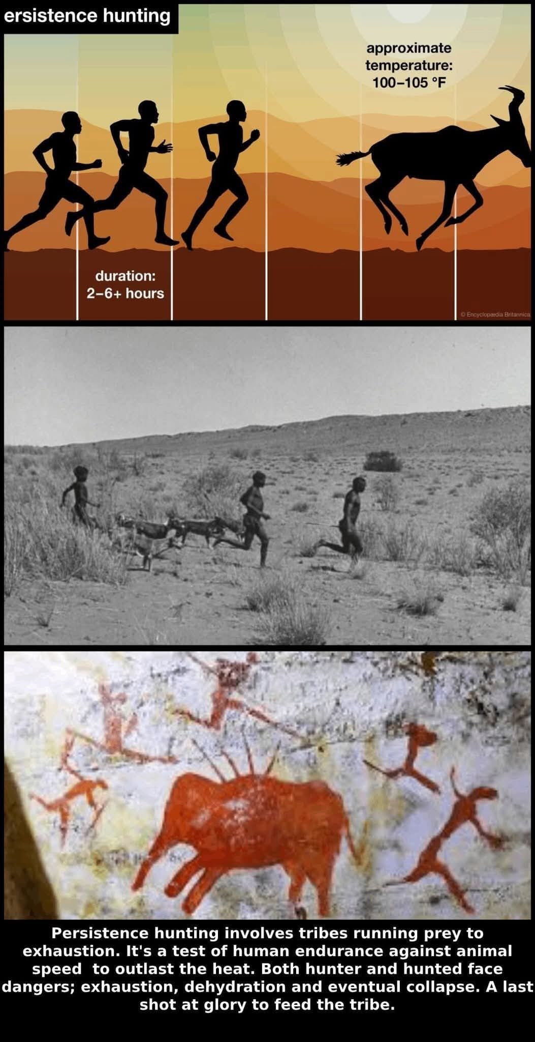 Efemérides Políticas, Históricas, Sociales y Culturales. | # ***La caza ...