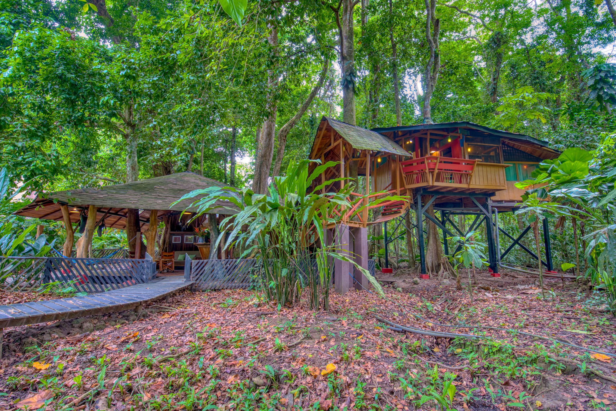 Tree House Lodge | Puerto Viejo