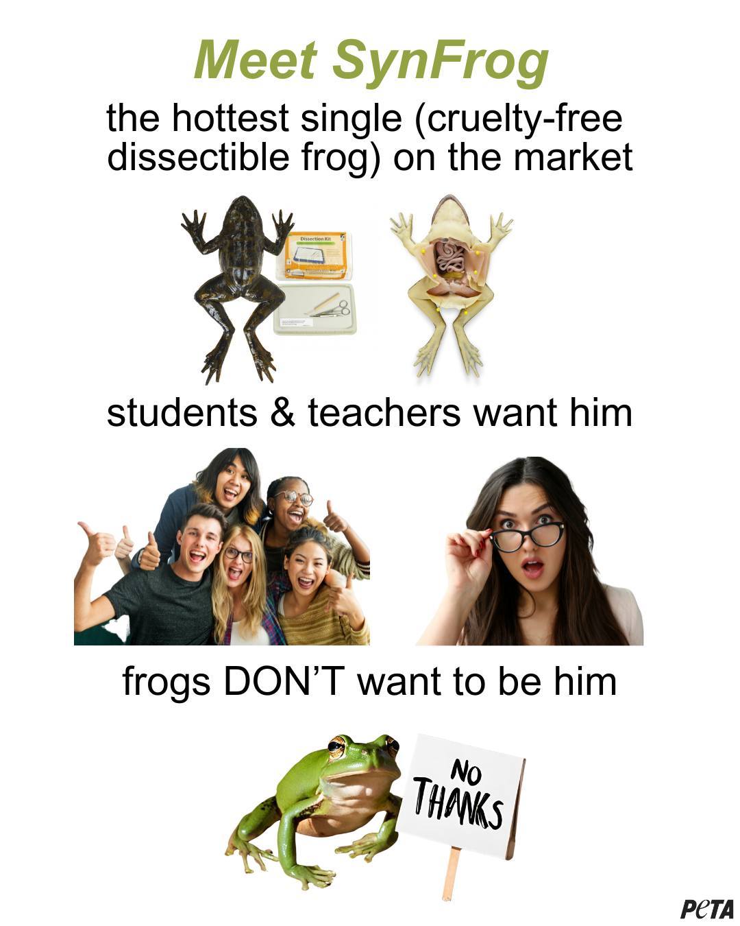 Frog Dissection Memes Cute Pudgy Frog Showing Dessert Stomach Diagram