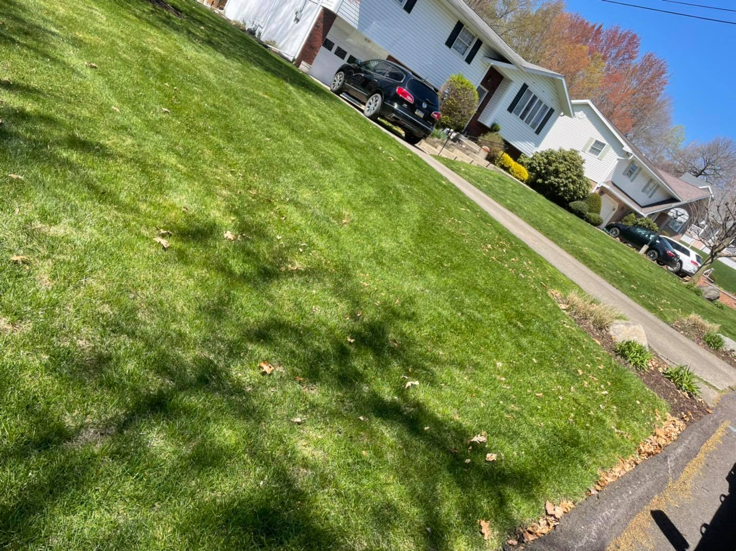 Some fresh cut lawns this week! Did you know we service a huge area in ...
