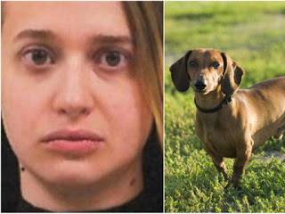 Plantão de Policia - Zoofilia, Mulher faz sexo com cachorro, manda ...