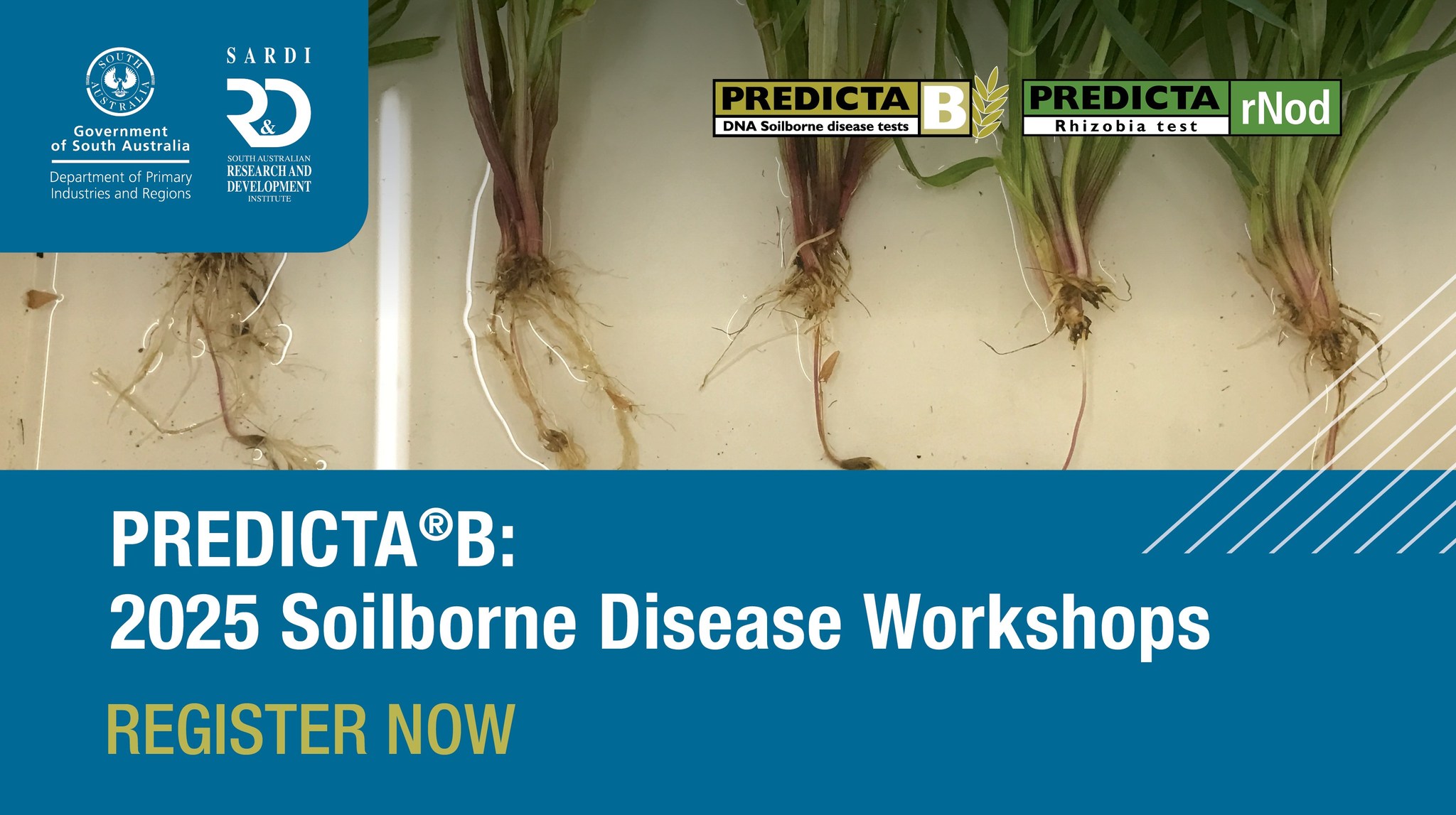 Department - 🌾 Calling all agronomists! 🌾 Are you ready to level up ...