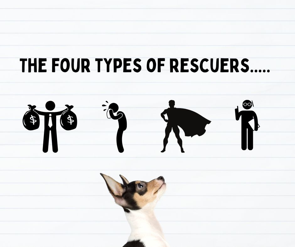 BC Rescue Watchdog - In our experience monitoring rescue activities, we ...