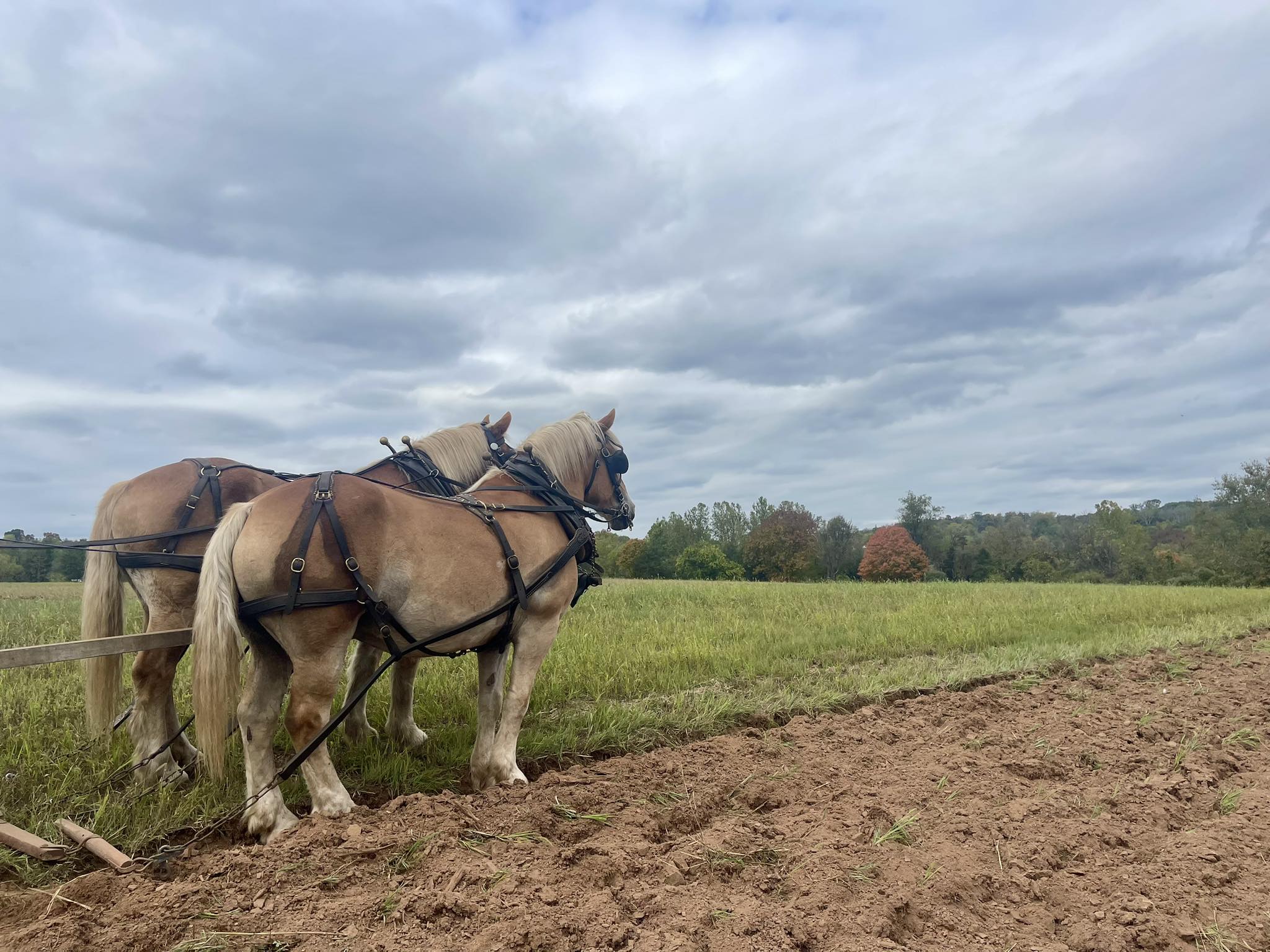 Howell Living History Farm | Lambertville NJ