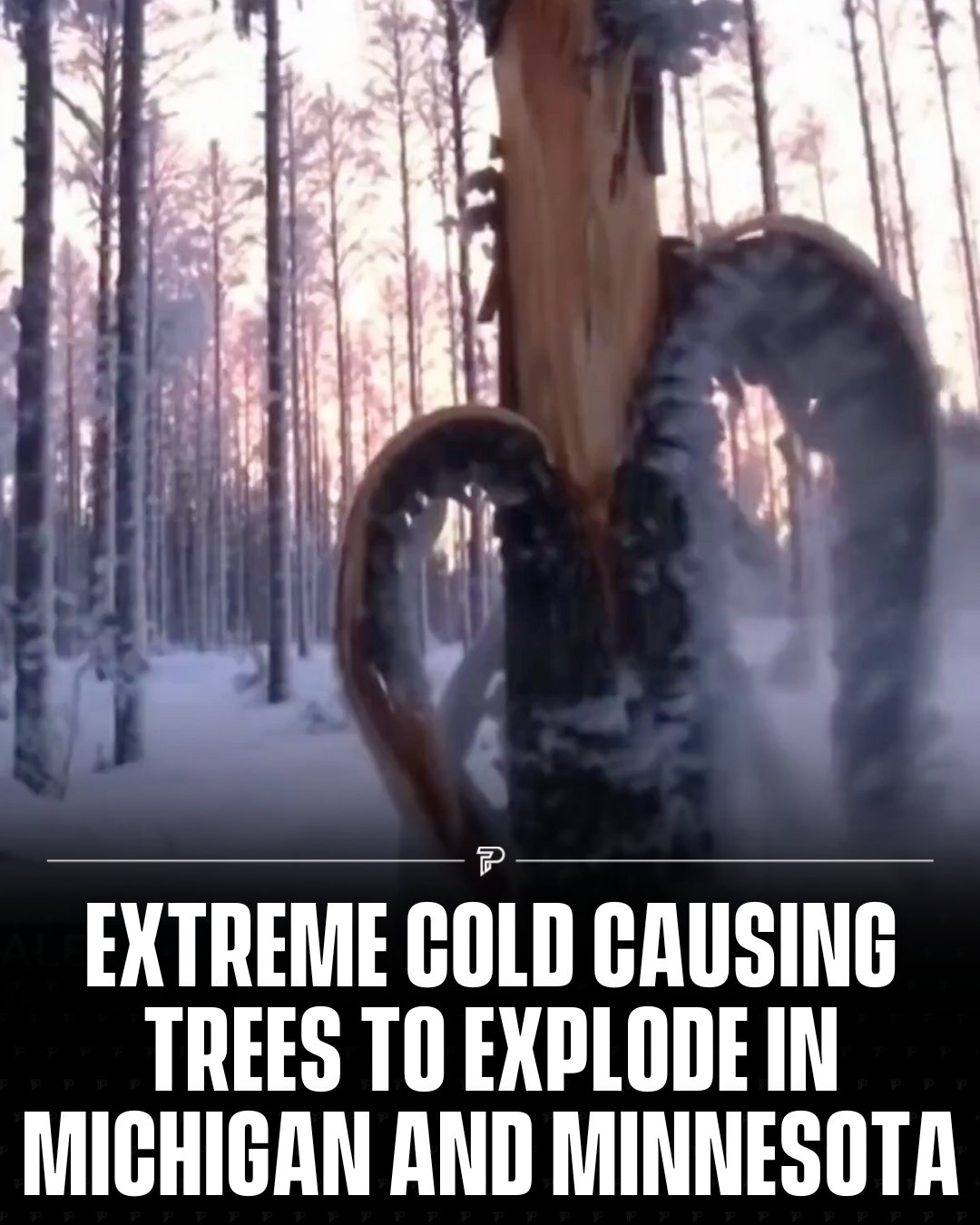 Pubity - Extreme cold in Michigan and Minnesota causes tree sap to ...