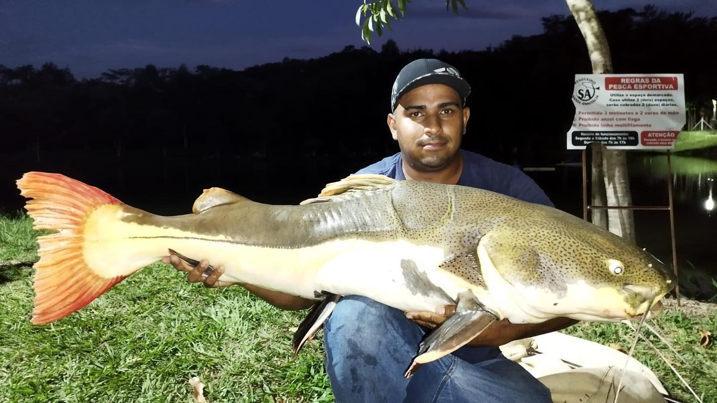 Black Fish - Sextou com panela! Seja no calor ou com frio, nossos ...