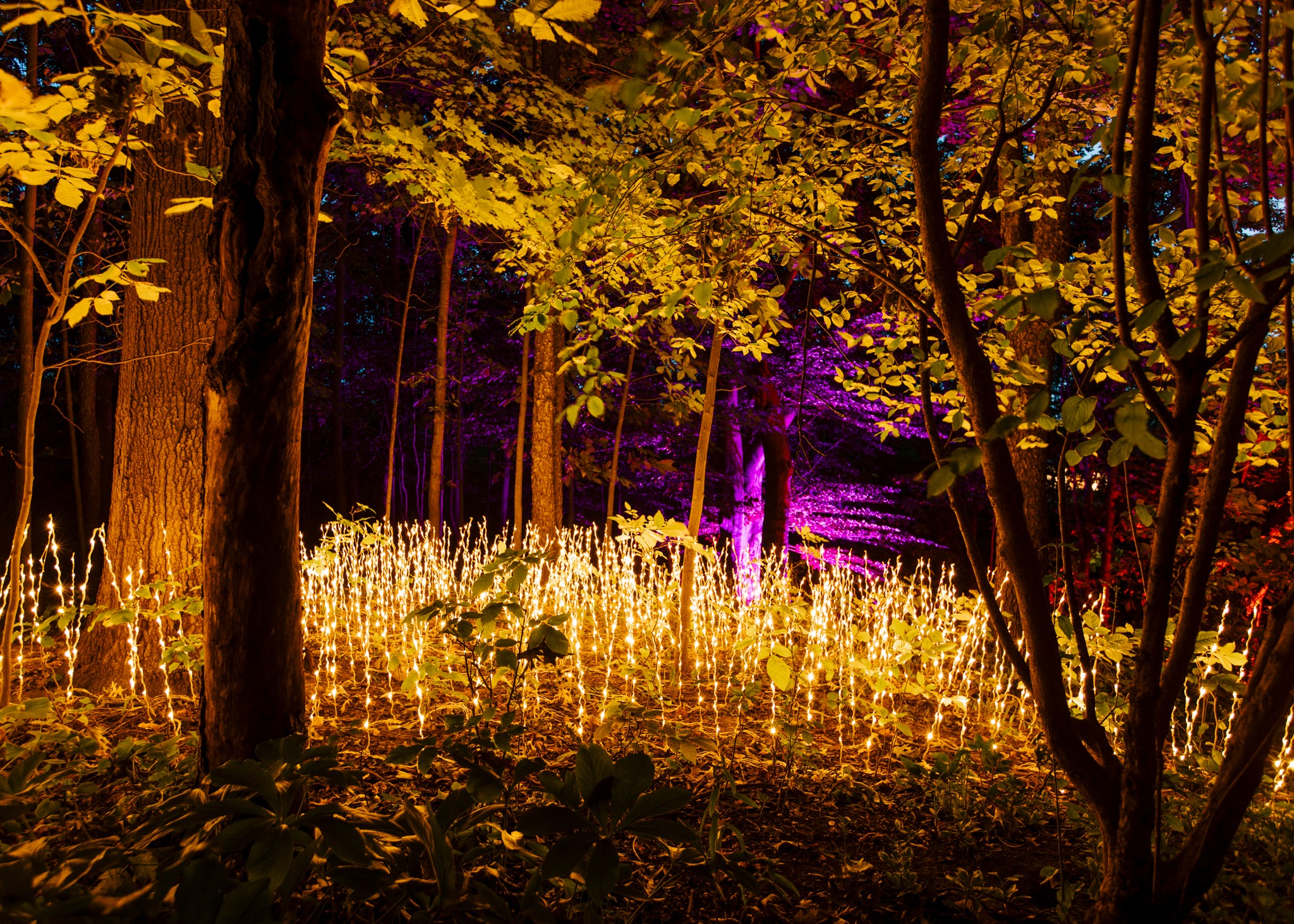 Did you know we're open until dusk on more than 60 nights during