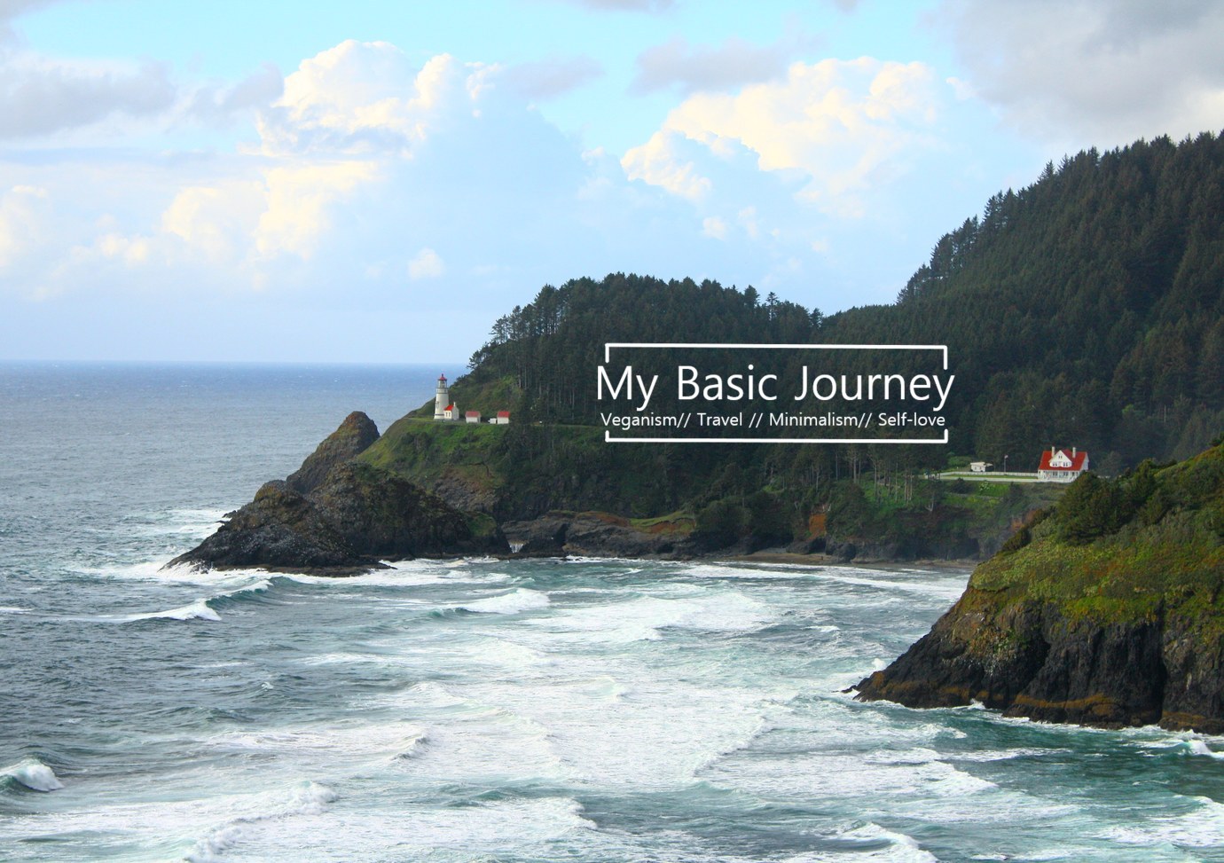 My Basic Journey
