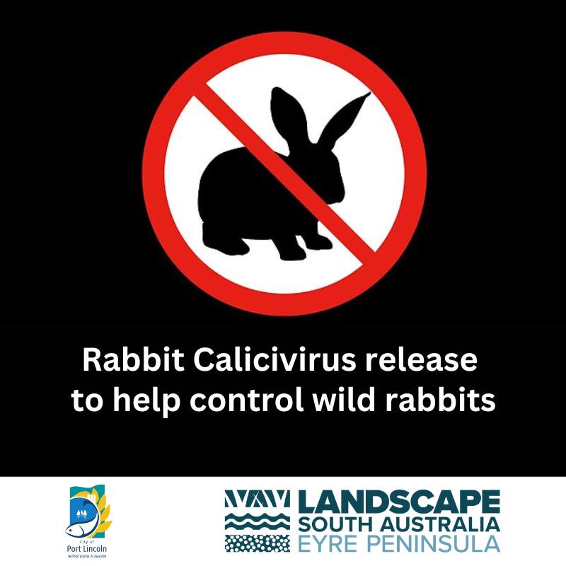 City - UPDATED POST: Targeted Rabbit Calicivirus release - Starting 28 ...