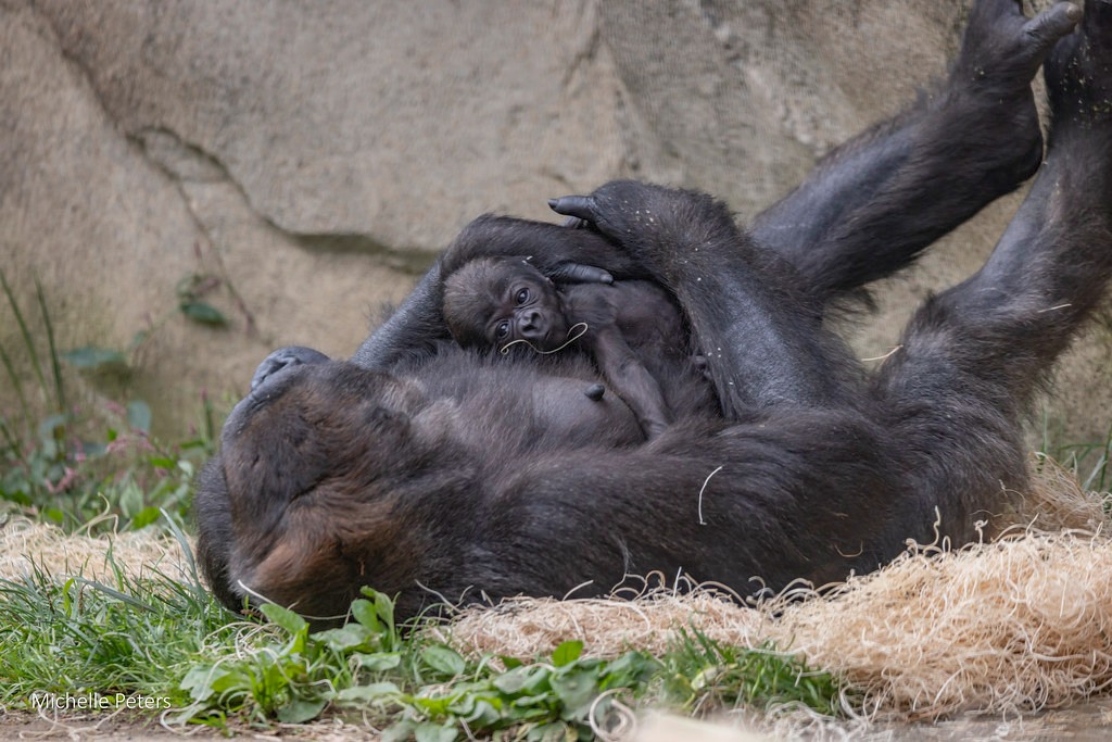 Mother's Day - FREE admission for all Moms