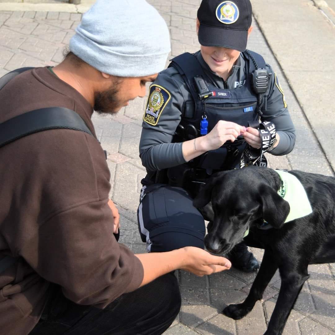 Chimo Animal Assisted Wellness and Learning Society - CAAWLS | Edmonton AB
