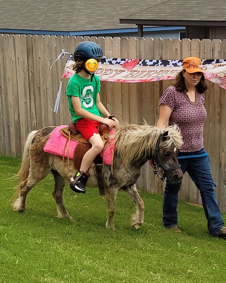 Pony Rides on a very... - MLB Pony Rides and Petting Zoo | Facebook