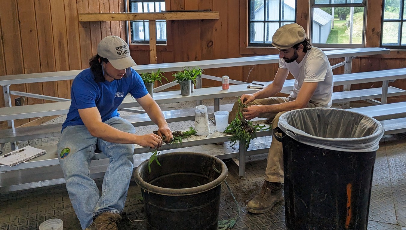 The New York State... - Cornell Integrated Pest Management | Facebook