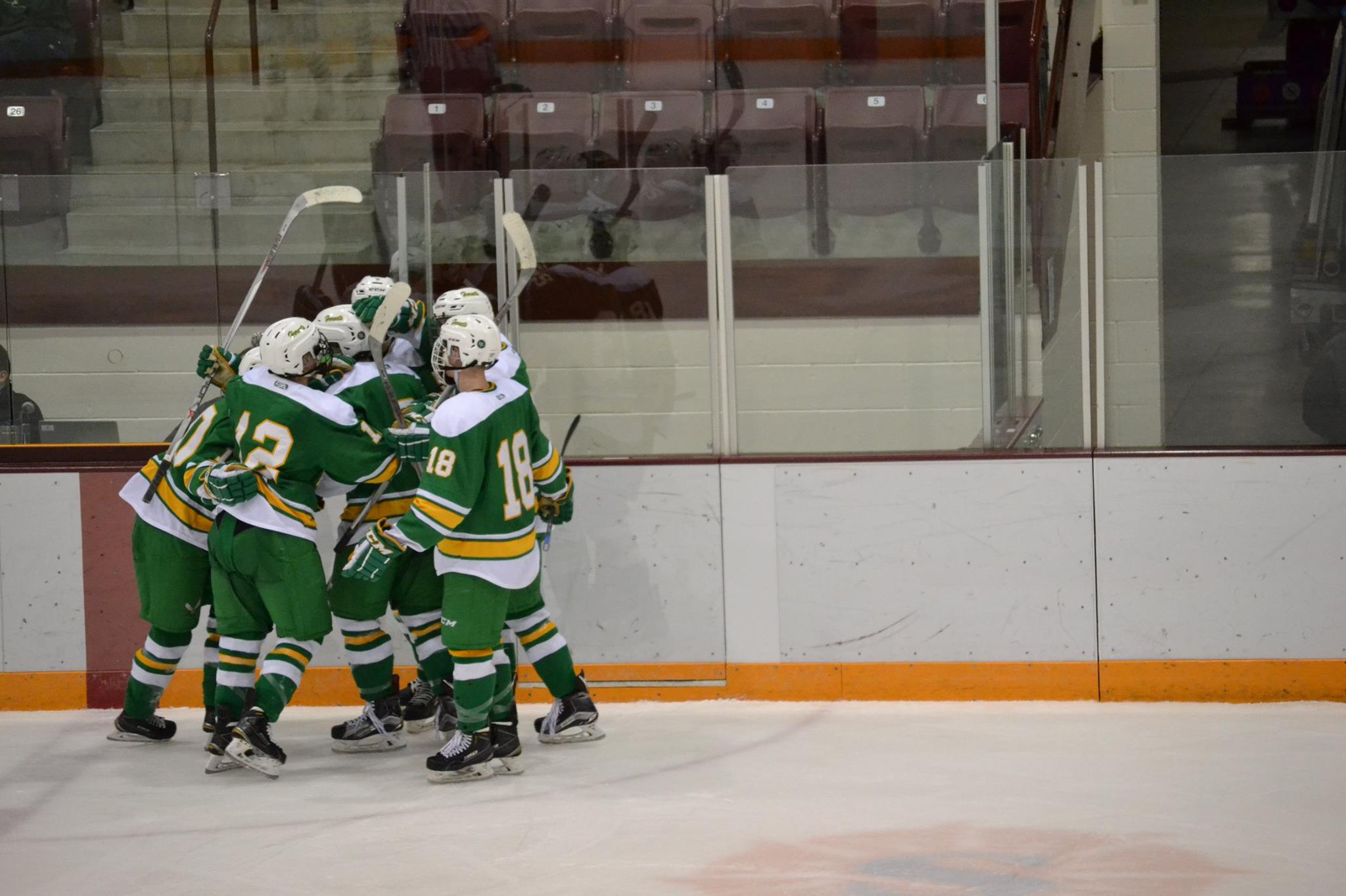 Edina Boys... - Edina Boys Varsity Hockey Team 2015-2016