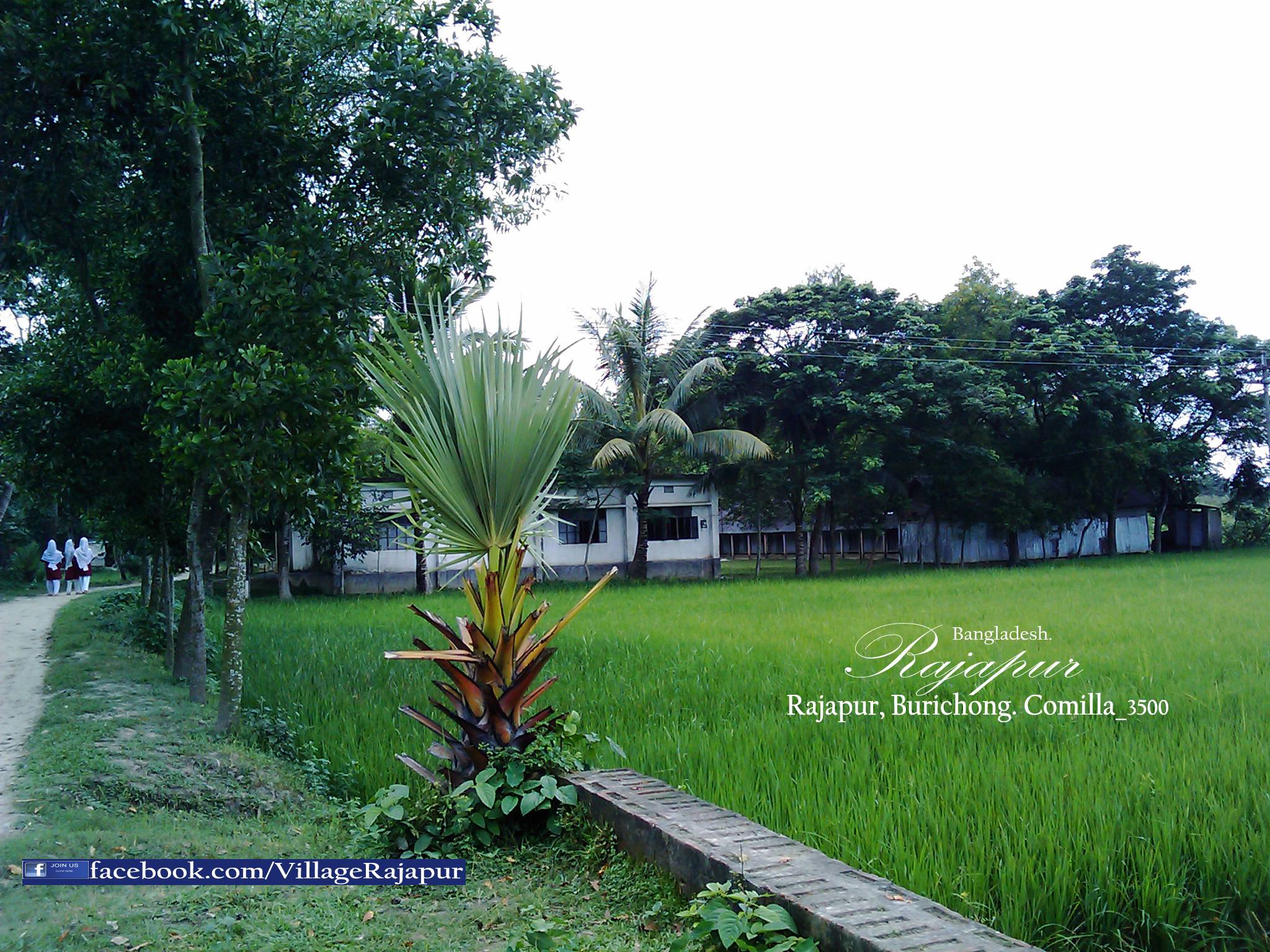 Rajapur Village & Union- রাজাপুর গ্রাম ও ইউনিয়ন. - Home