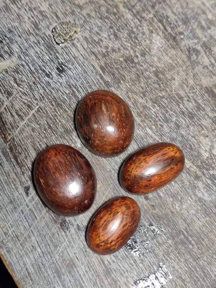 S2 Khazanah Teras Kayu Teras Menang Teras Laka Kebaikkan Teras Memang Dikatakan Pemilik Selalu Menang Sepertinya Namanya Ketahanan Kulit Sentiasa Berjaya Dengan Apa Yang Dipertandingkan Pengasihan Pendinding Ditakuti Oleh Jin