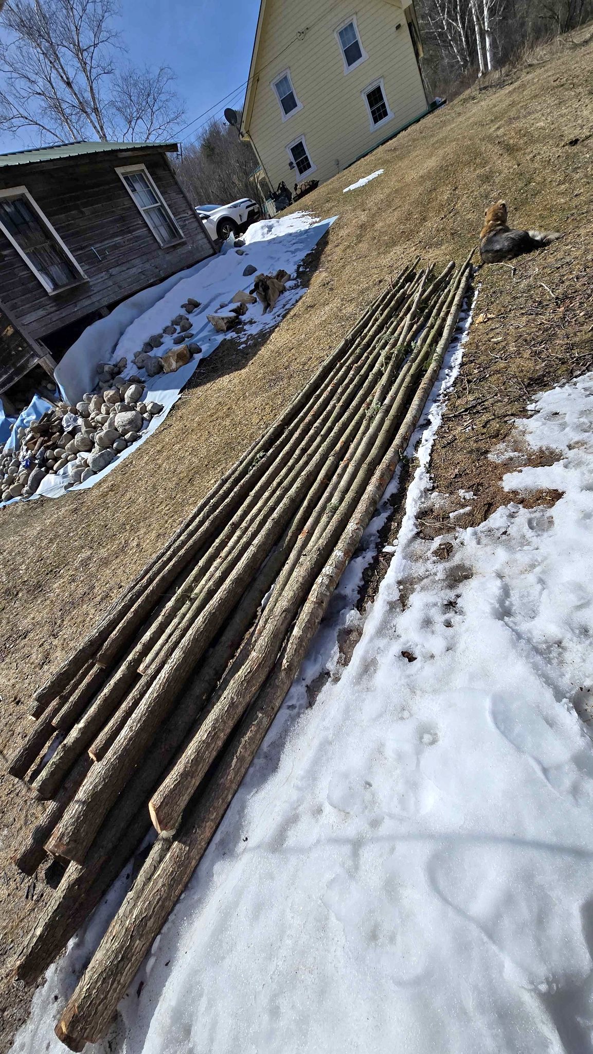 16' Hemlock rails/posts - Fencing - Ticonderoga, New York | Facebook ...