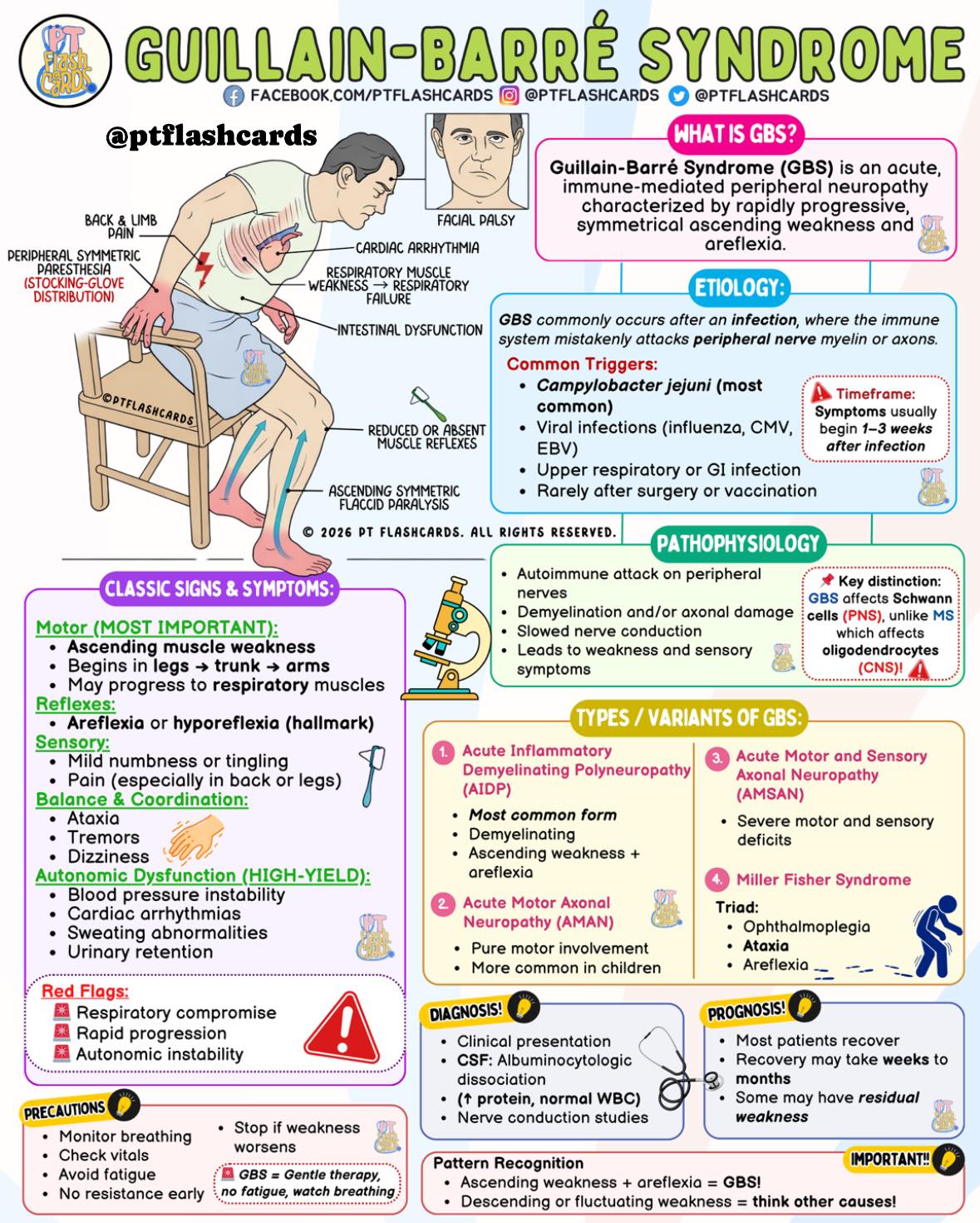 PT - 🧠 GUILLAIN-BARRÉ SYNDROME (GBS) — made simple, visual, and exam ...