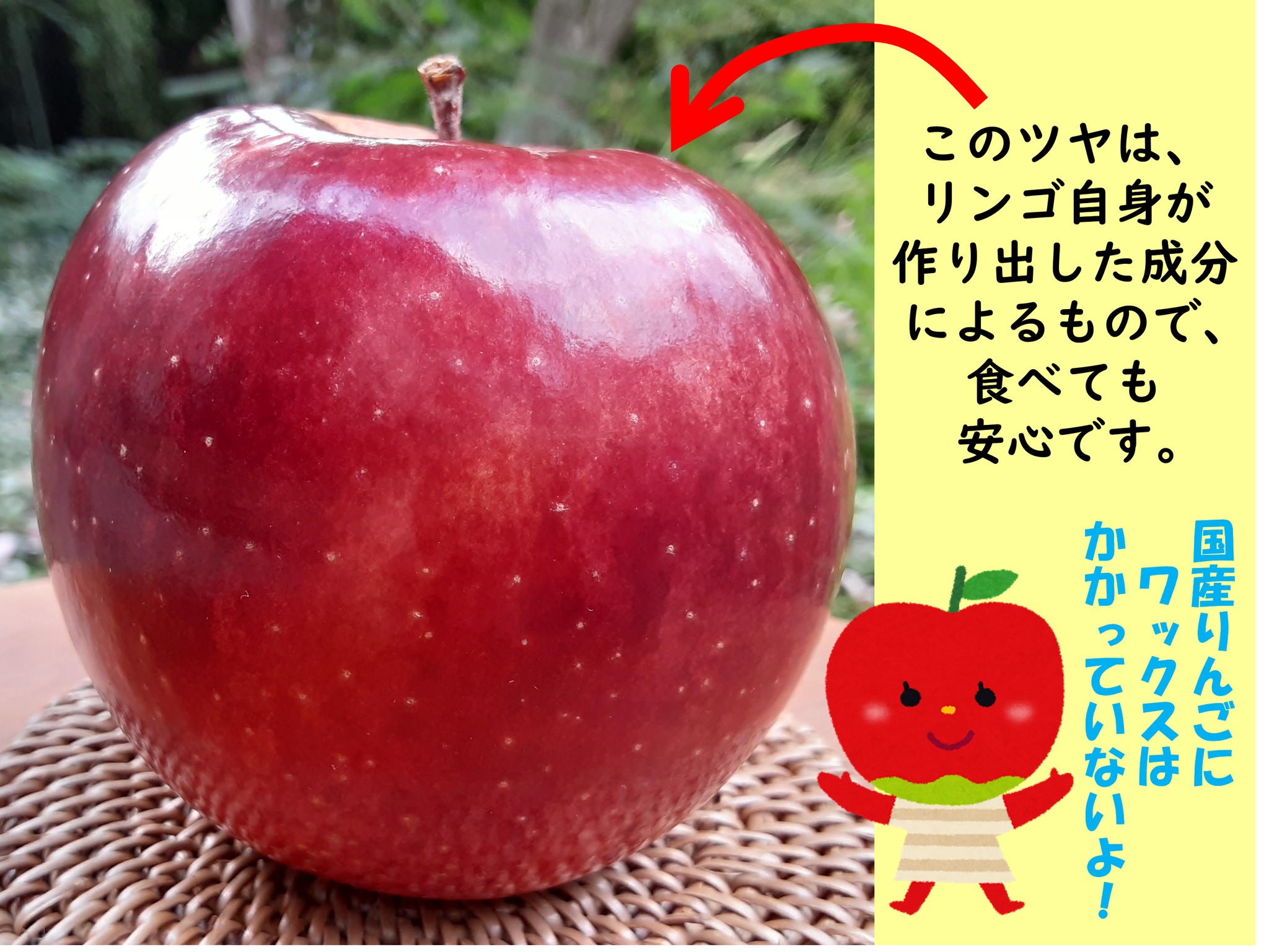 ぐんま食の安全情報（群馬県食品・生活衛生課） - 【りんごの皮には 