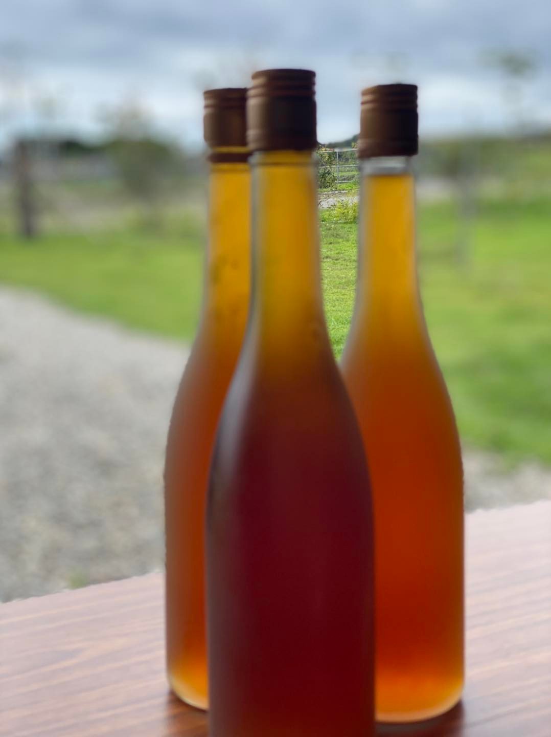 台東三山農場 - 台東三山農場去年四月 進行製作的梅子發酵液（含酵素） 醃漬酵素梅上市了！ 台東三山農場... | Facebook