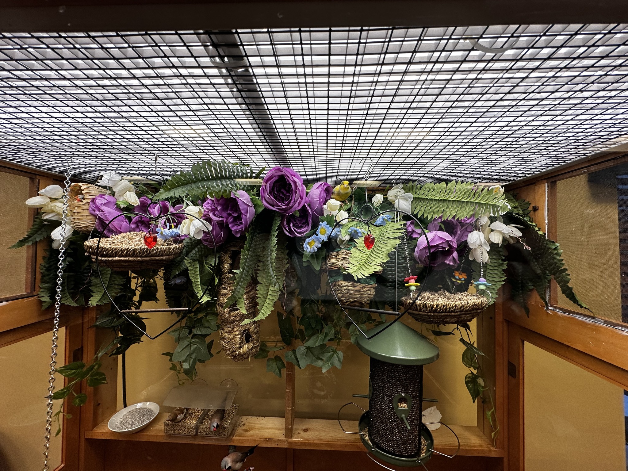 Robin's Nest Aviaries and Aquariums Corp
