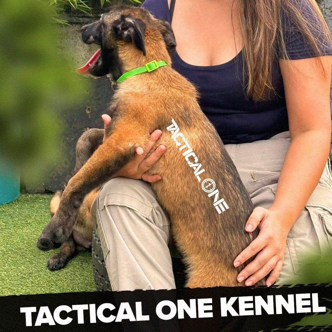 Tactical One