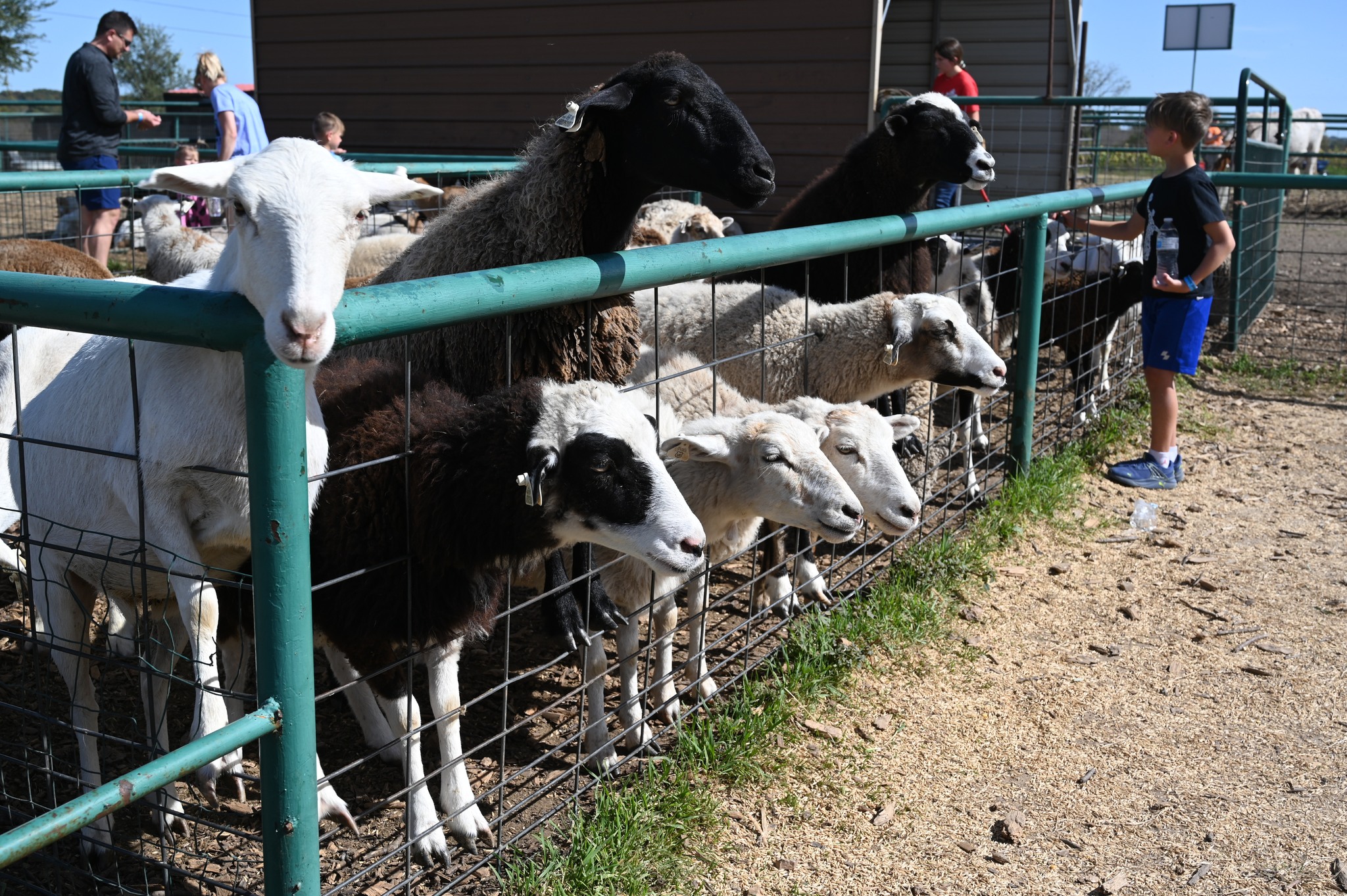 2026 Spring Homeschool Day on the Farm