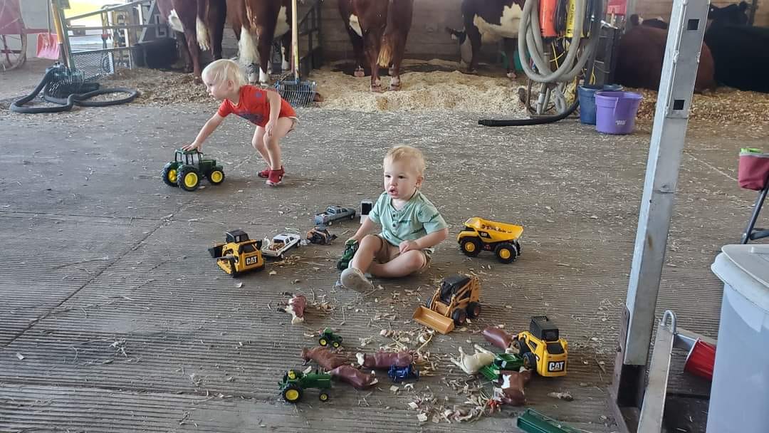 Butler Cattle Company | State Center IA