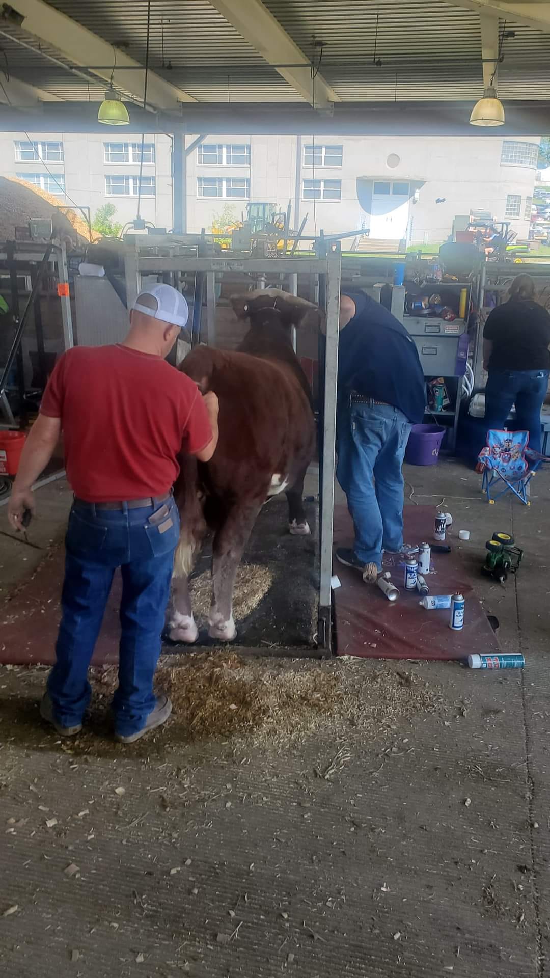 Butler Cattle Company | State Center IA