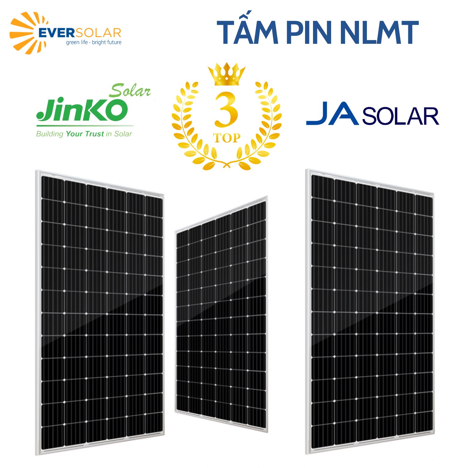 🌟 Bạn đang tìm... - Sạc xe nhanh-CPO&MSP EverCharge/everev