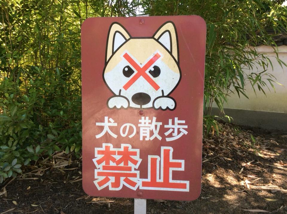 當麻寺でも んpo法人 犬先生の そらしらなんだ Facebook
