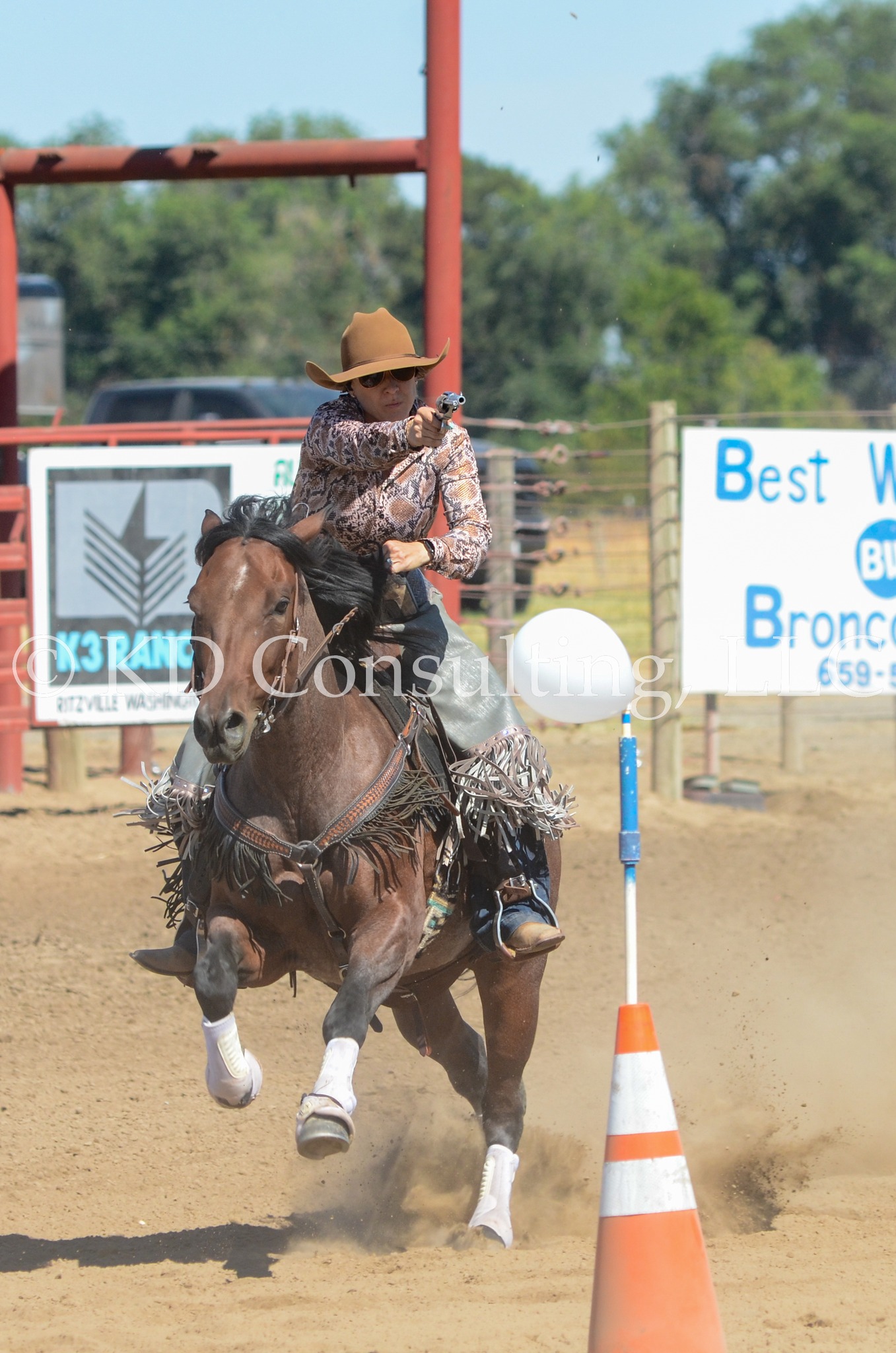 Wheat Land Communities’ Fair | Ritzville WA