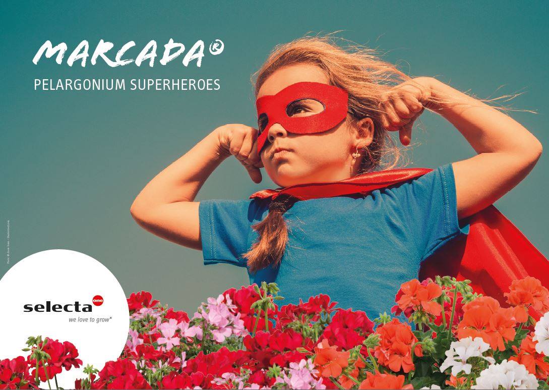 Selecta one - Our self-cleaning and continuously flowering... | Facebook