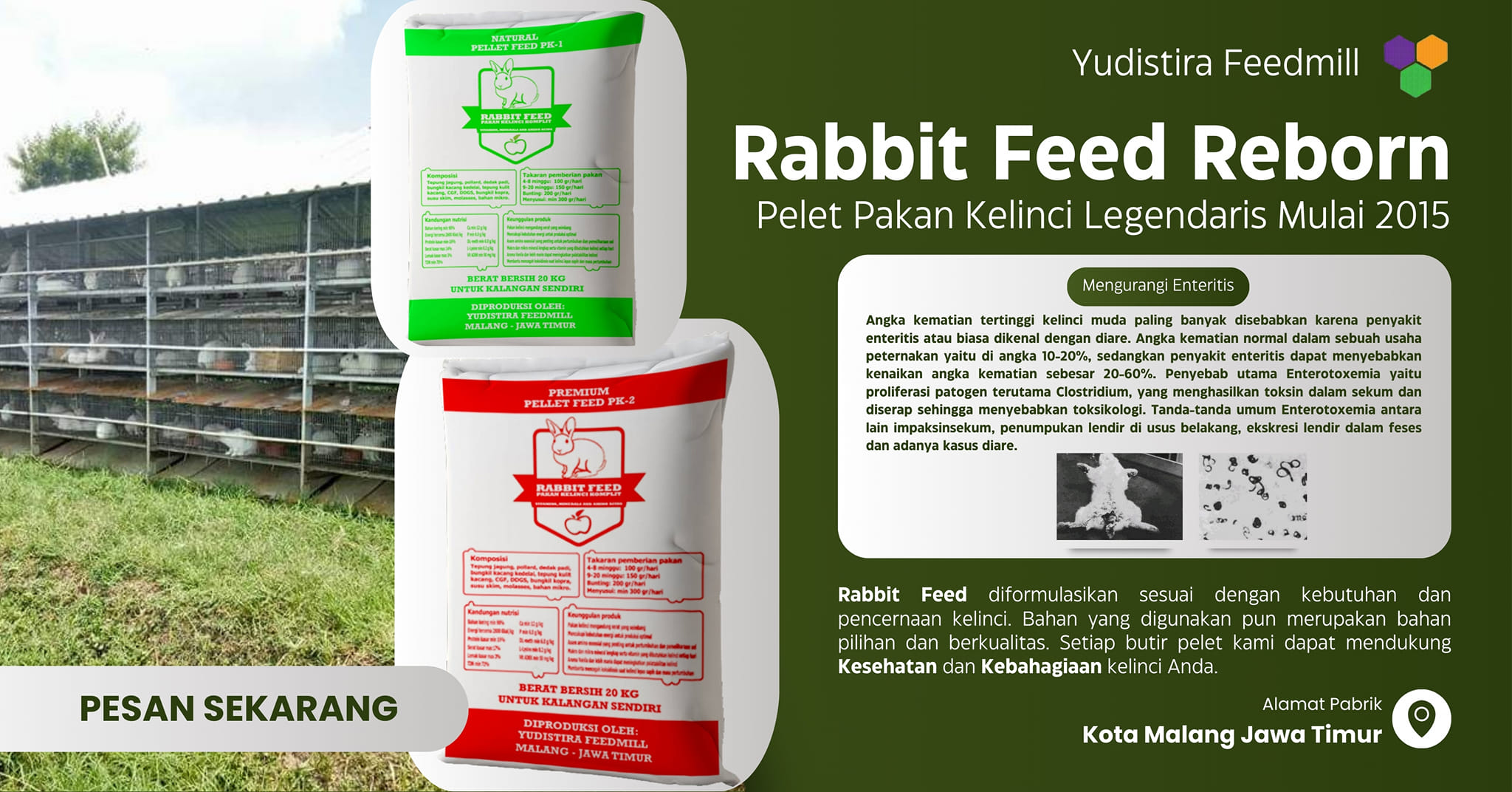 Rabbit Feed Reborn | Batu