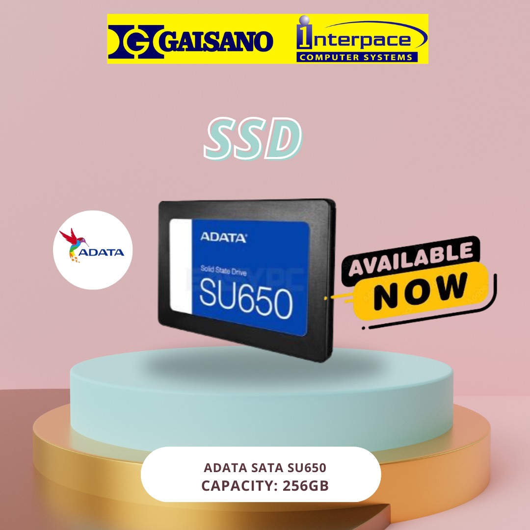 Gaisano Interpace Computer System - Puerto Palawan Branch | Puerto Princesa
