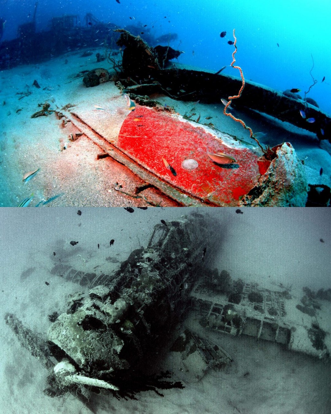 Uncovering the lost planes of World War 2 at Japan's biggest naval