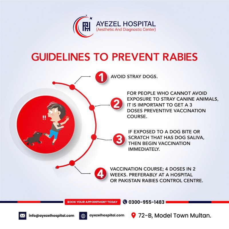 Ayezel - 𝐒𝐭𝐚𝐲 𝐒𝐚𝐟𝐞 𝐟𝐫𝐨𝐦 𝐑𝐚𝐛𝐢𝐞𝐬 – 𝐅𝐨𝐥𝐥𝐨𝐰 𝐓𝐡𝐞𝐬𝐞 𝐆𝐮𝐢𝐝𝐞𝐥𝐢𝐧𝐞𝐬! Rabies is a ...