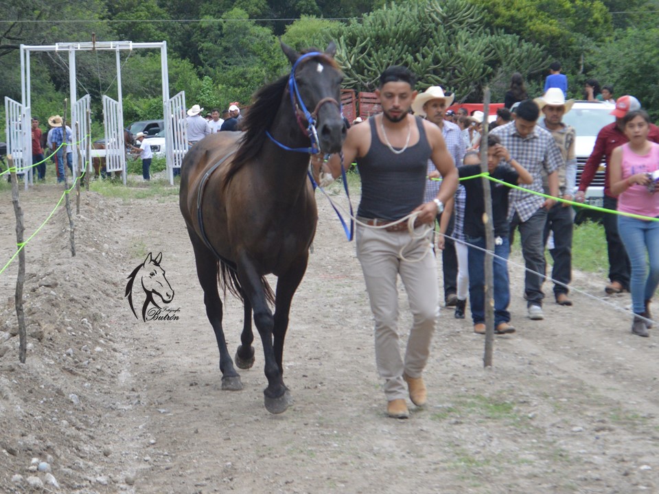 San Miguel Almolón | Eloxochitlán