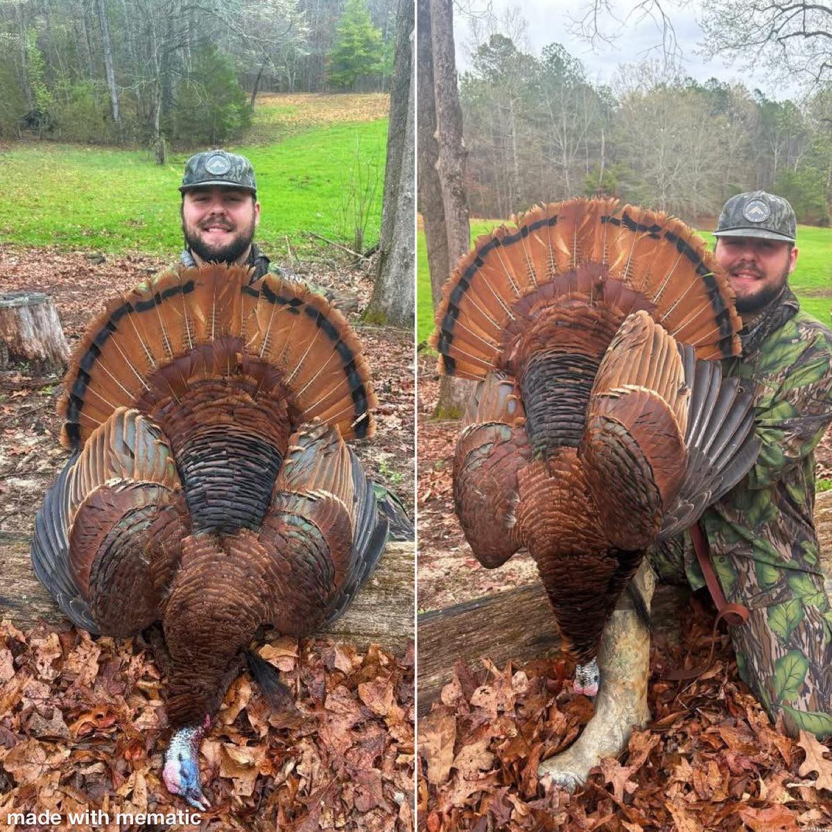 The Hunting - Check out the color phase on this turkey! | Facebook