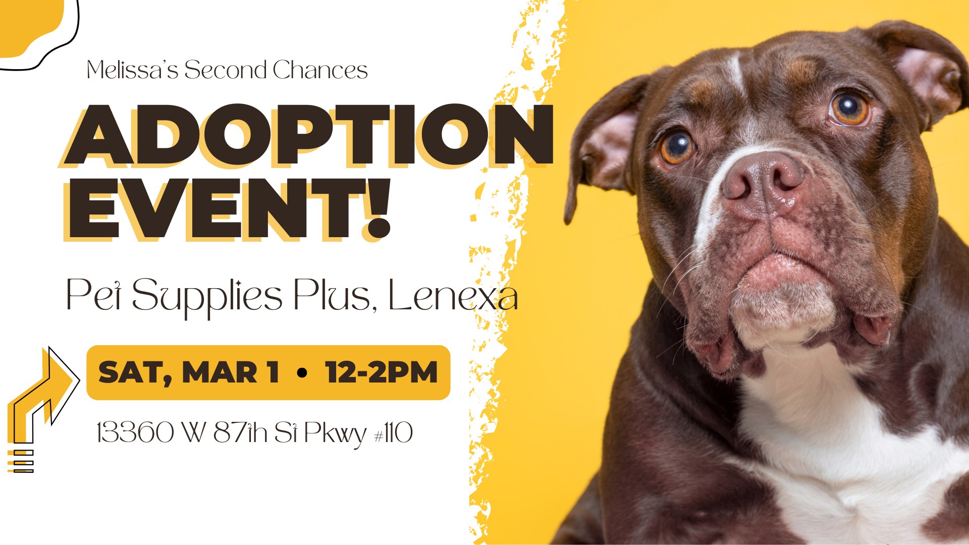 PSP Lenexa Adoption Event