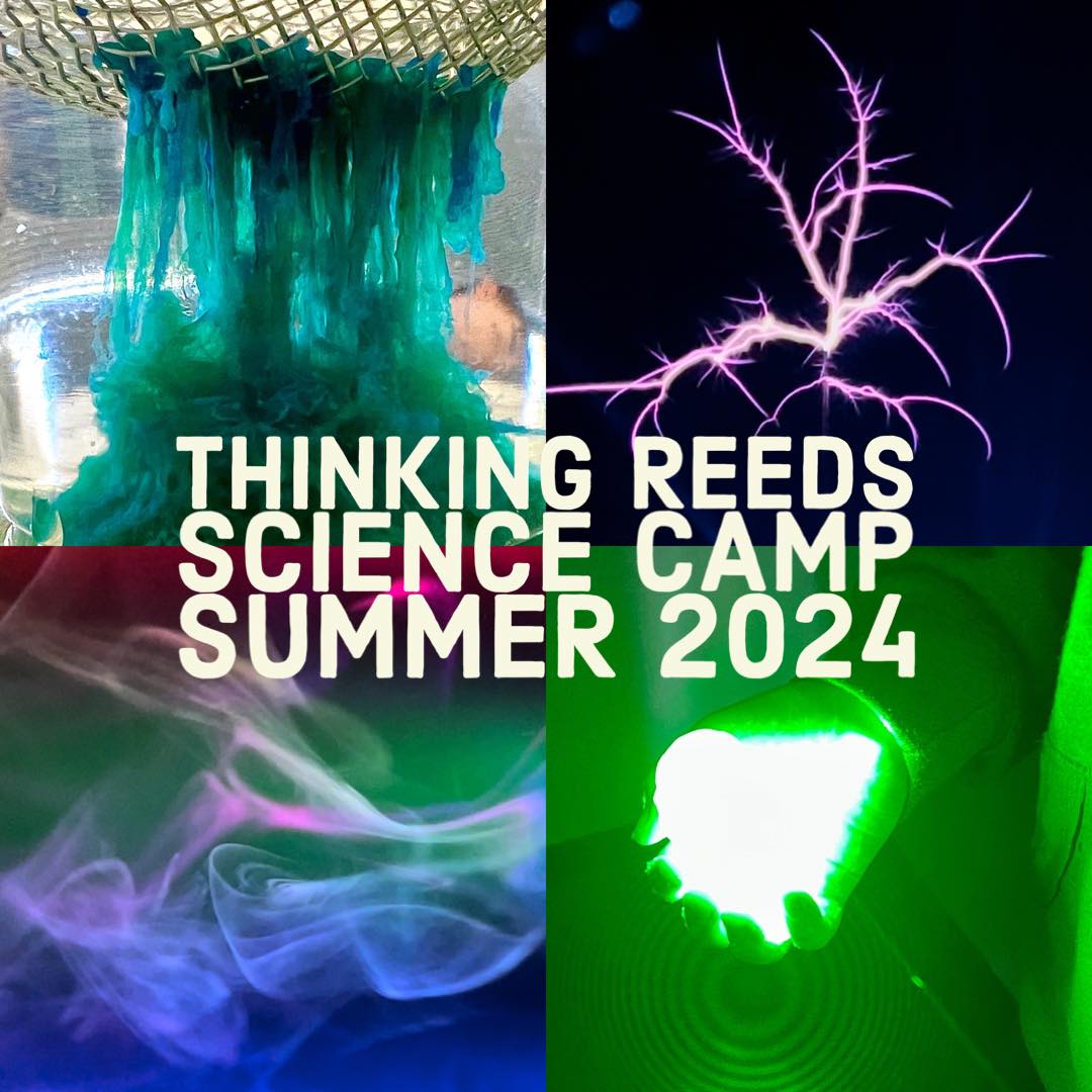 Thinking Reeds