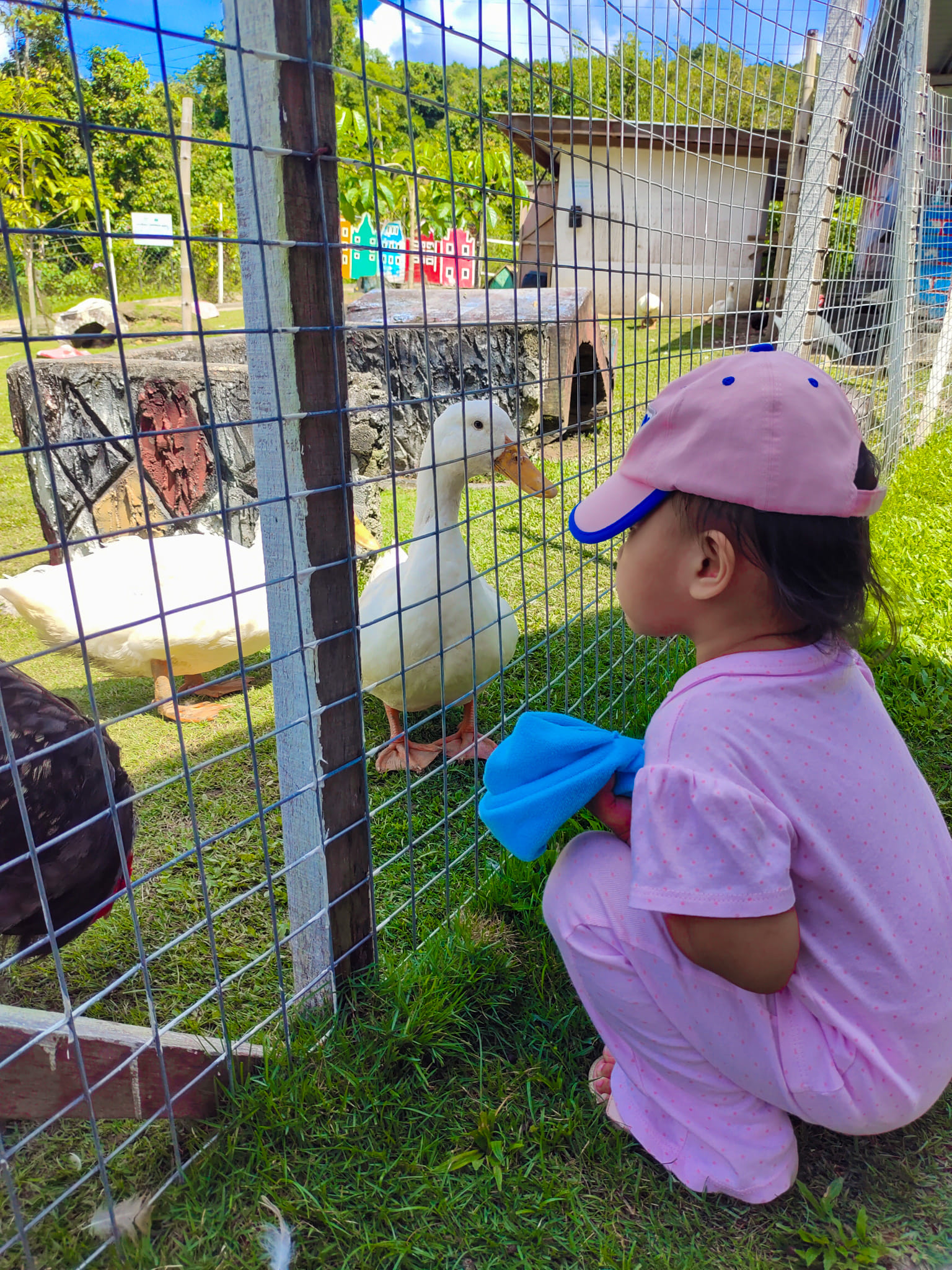 Arnab Village Ranau | Ranau