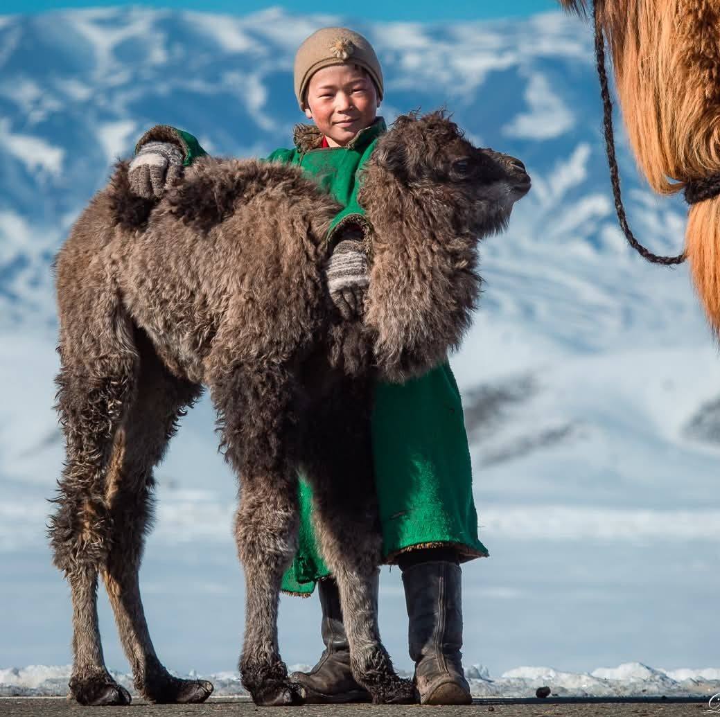 Тэмээ тэнгэрийн амьтан