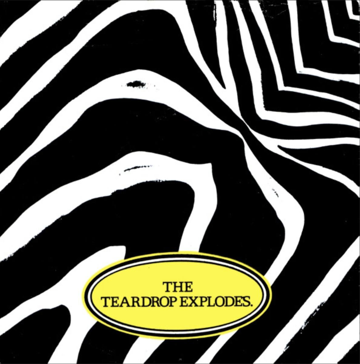 The Teardrop Explodes Liverpool post-punk band