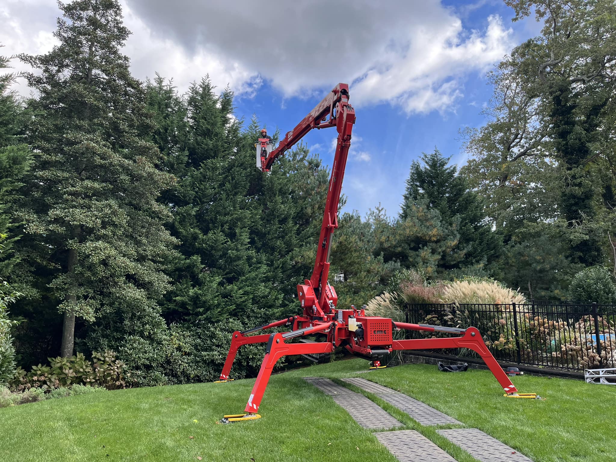 PSD Tree Experts | Point Pleasant NJ