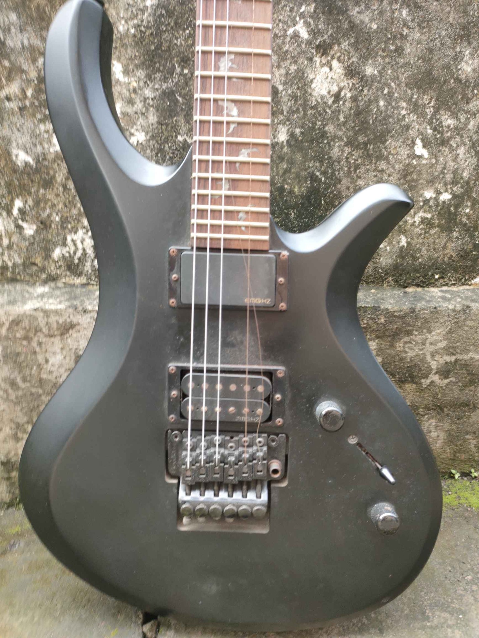 Gitar elektrik schecter damien riot fr South Korea - Electric Guitars ...