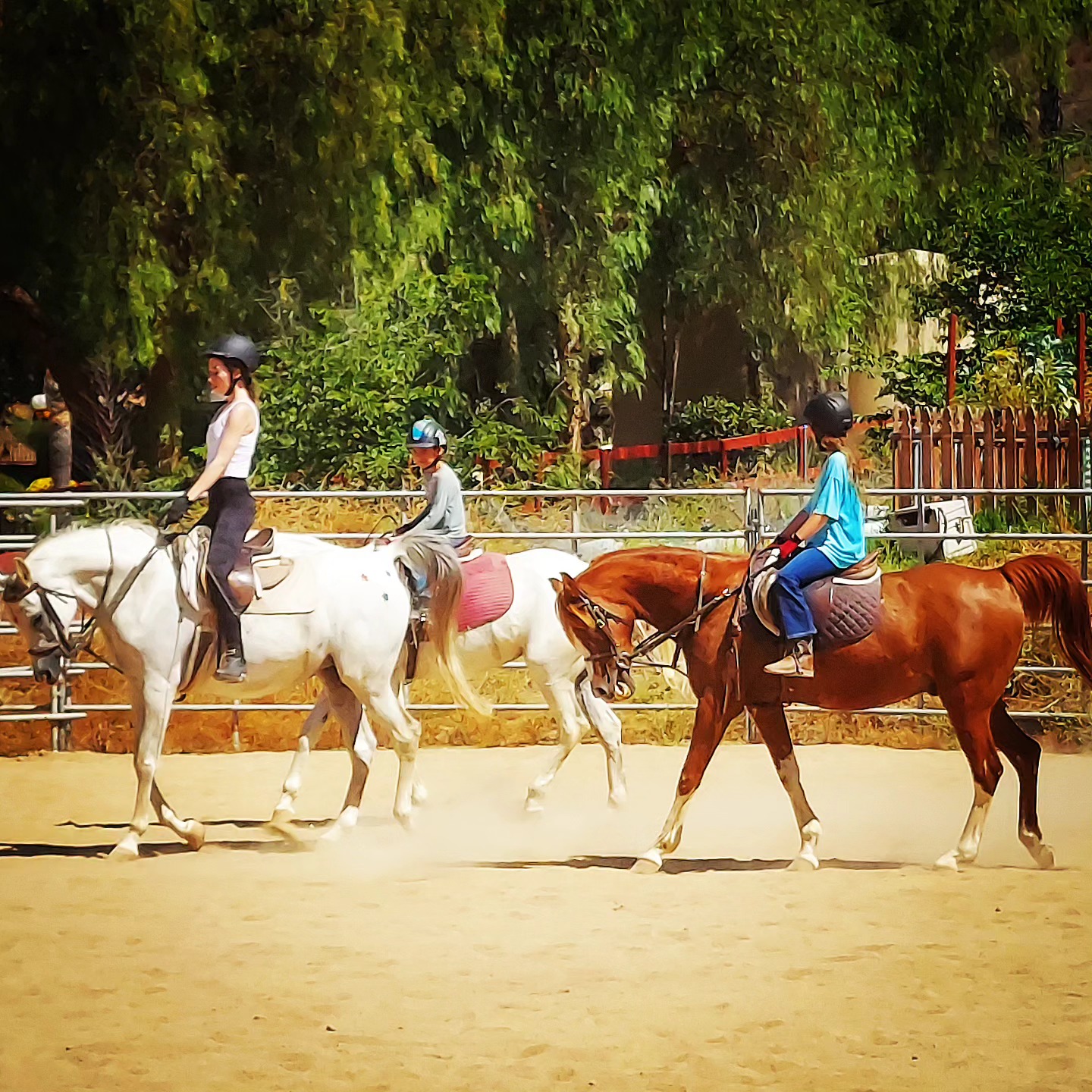 RIDING IN THE BIG ARENA!! 🤠... - KW Riding Lessons, Redlands