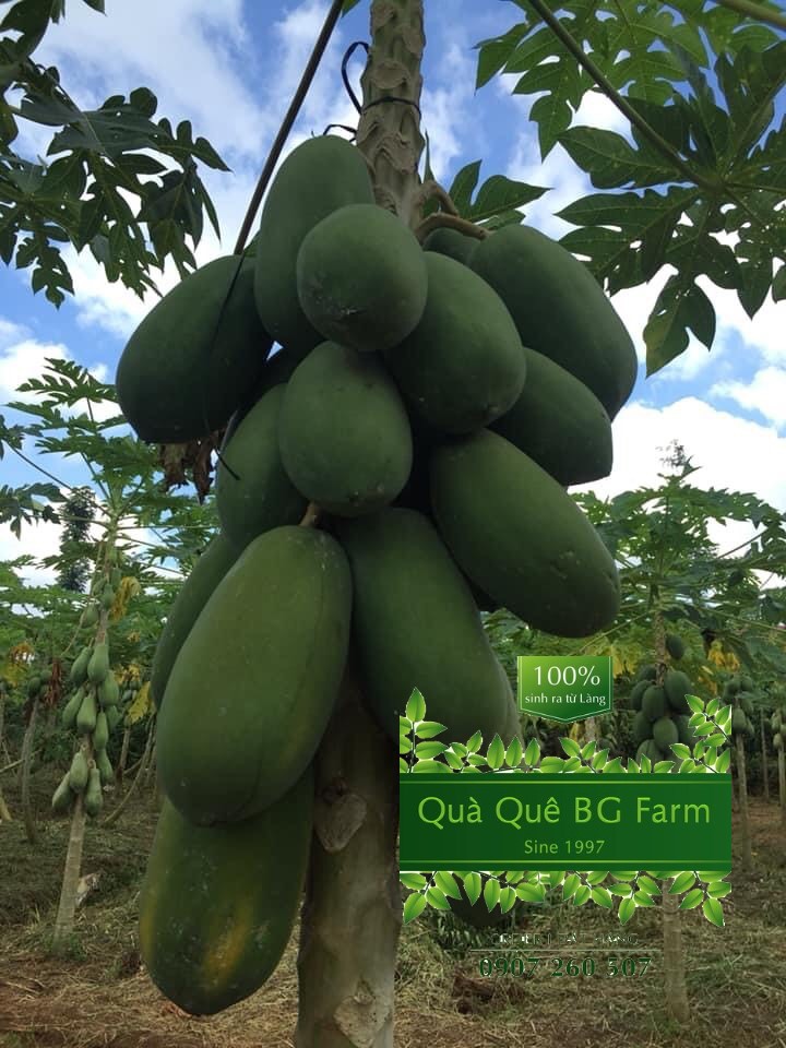 Quà Quê BG Farm | Ba Ria
