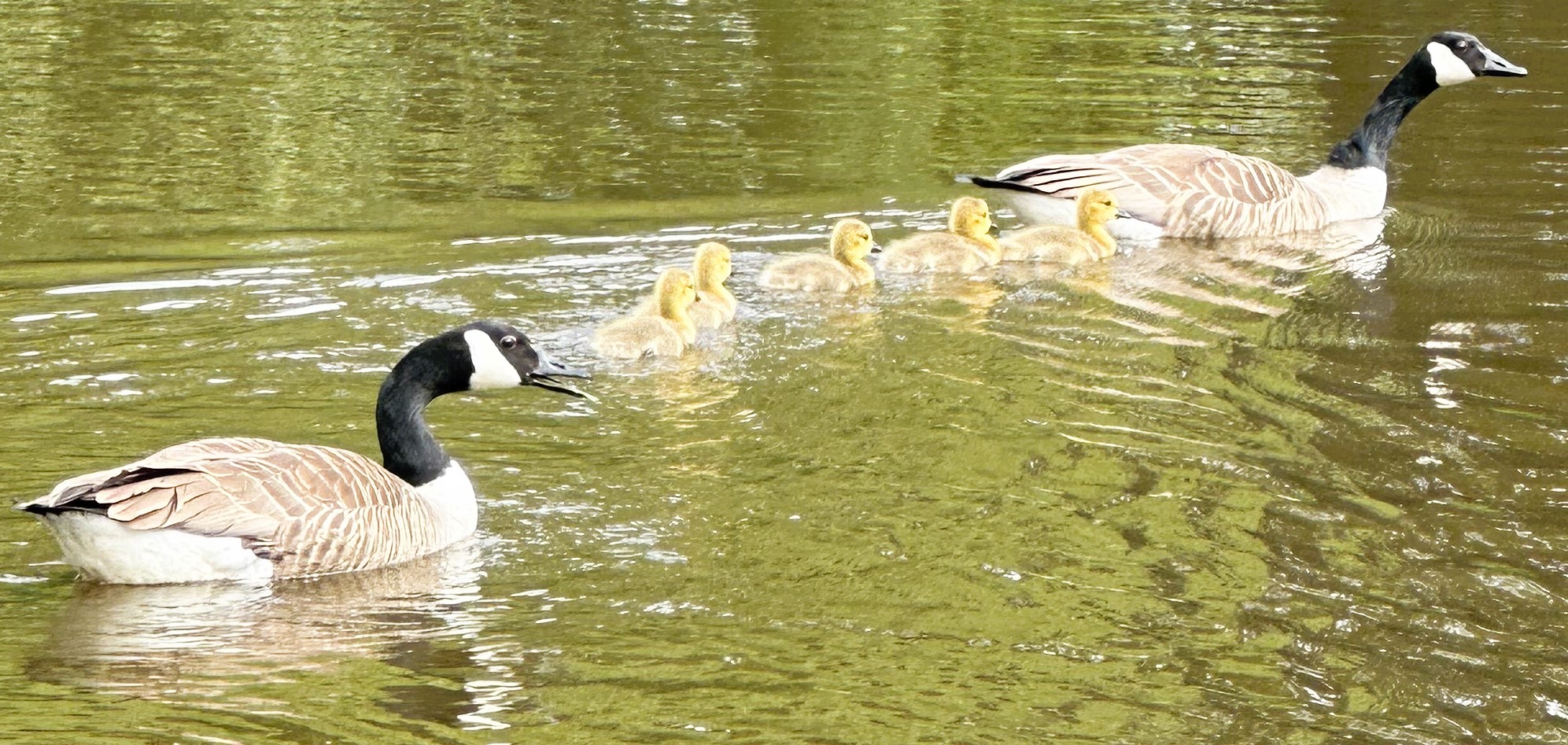 Chirk Marina Wrexham | Wrexham