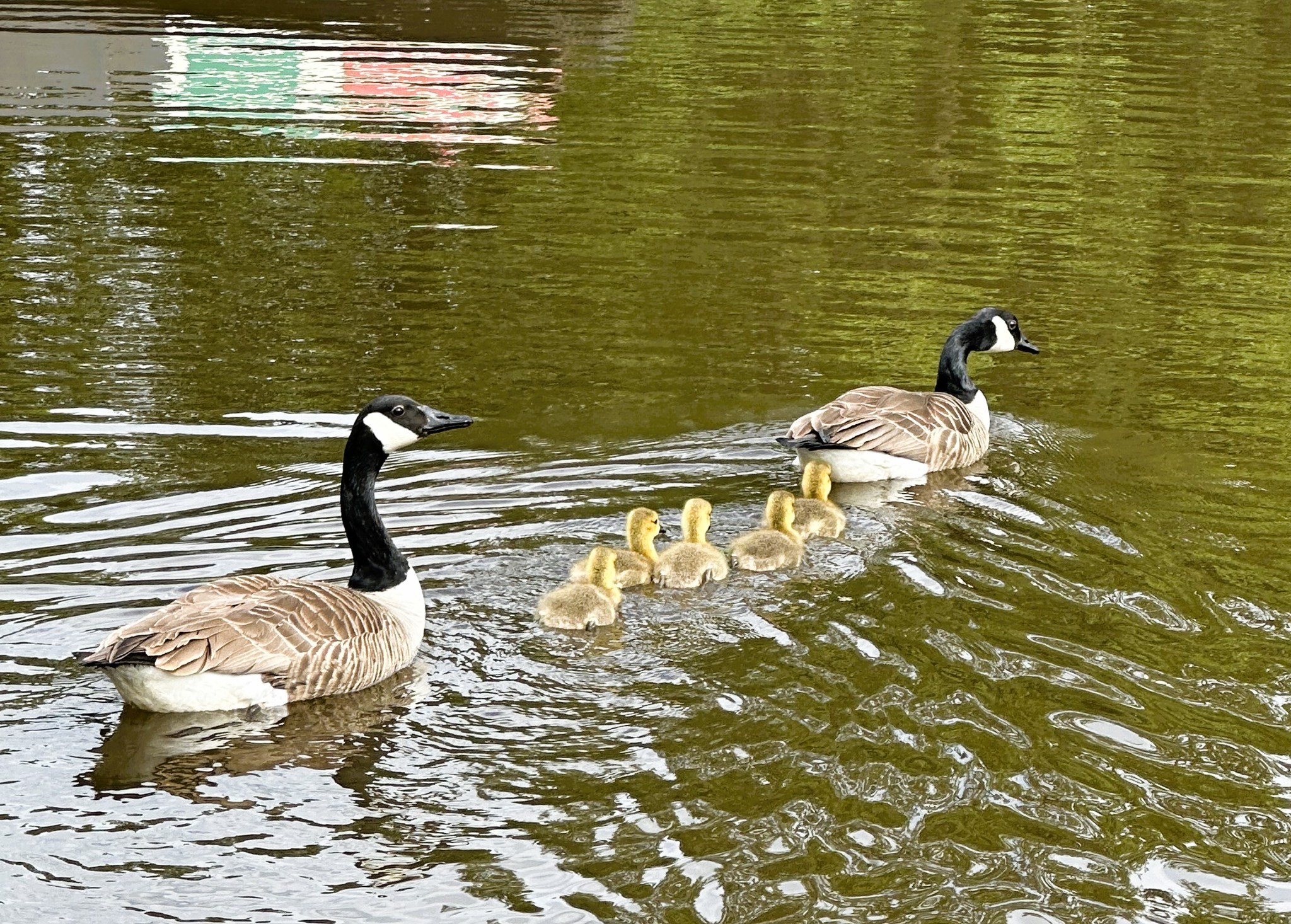 Chirk Marina Wrexham | Wrexham